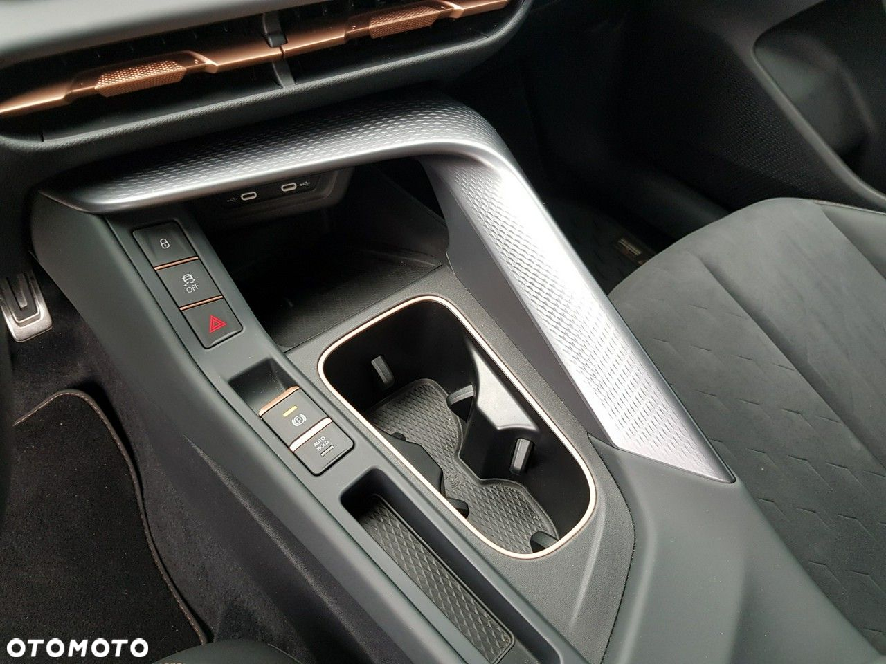 Cupra Terramar - 30