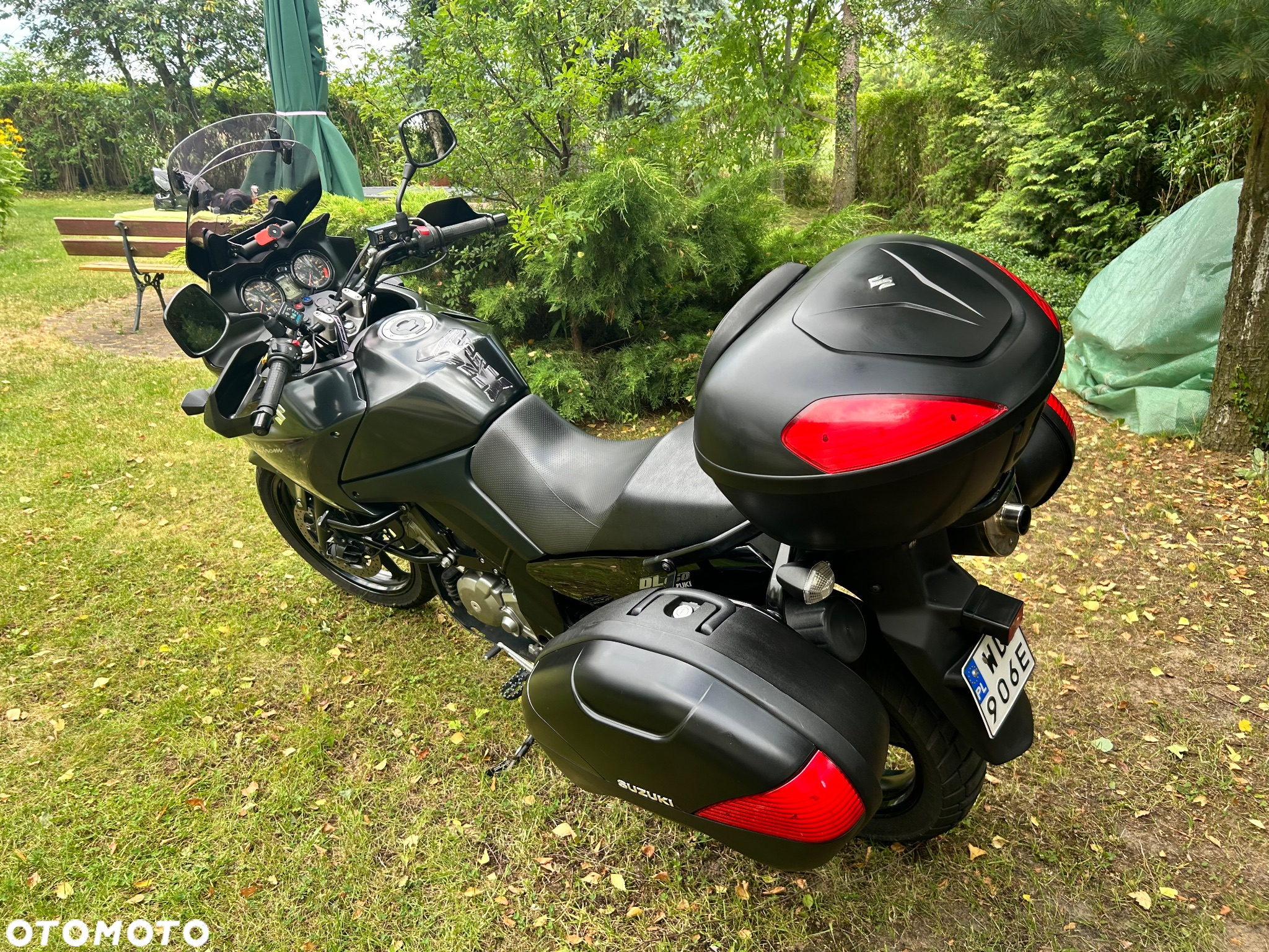 Suzuki DL - 23