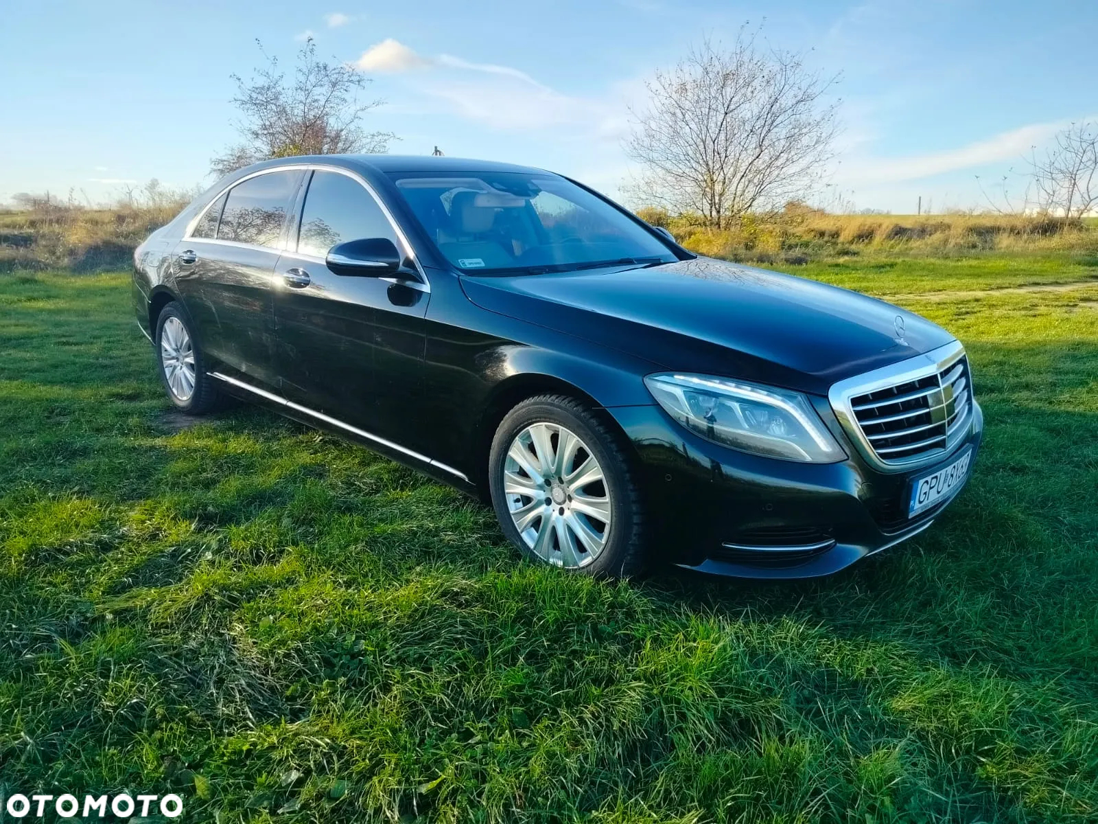 Mercedes-Benz Klasa S 350 (BlueTEC) d L 7G-TRONIC - 17