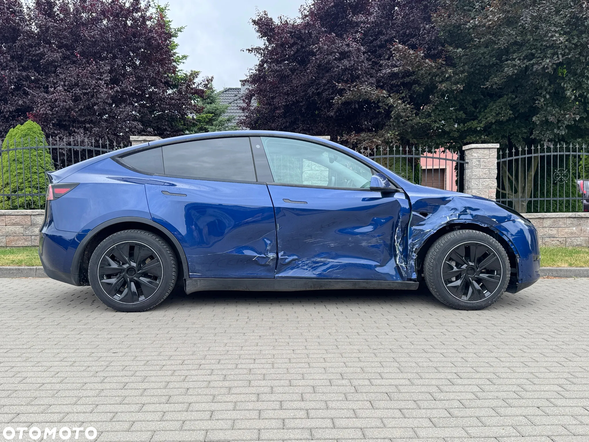 Tesla Y Model RWD - 6