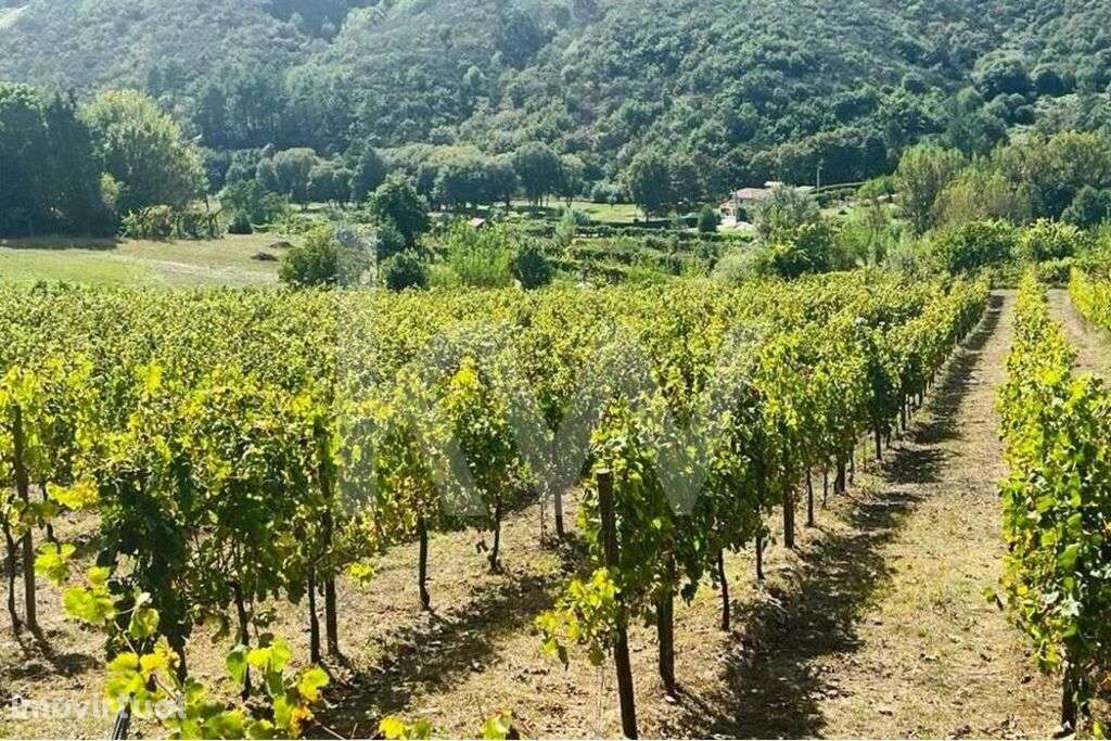 Terreno 2289/268 em Gove com 16.636m2, localizado em Baião - Grande imagem: 2/21