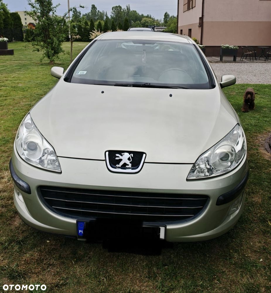 Peugeot 407 - 2