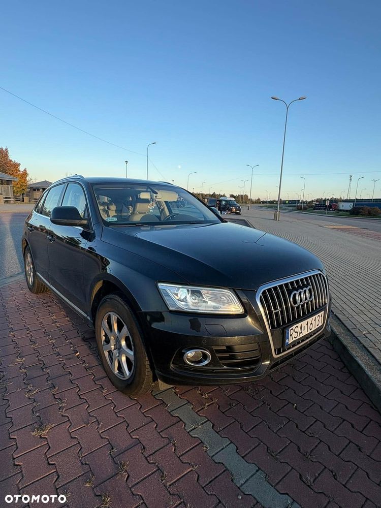 Audi Q5 2014 photo 3