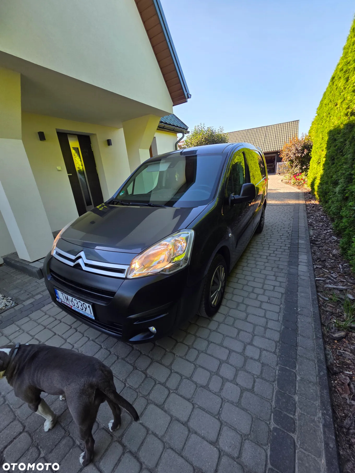 Citroën BERLINGO - 2