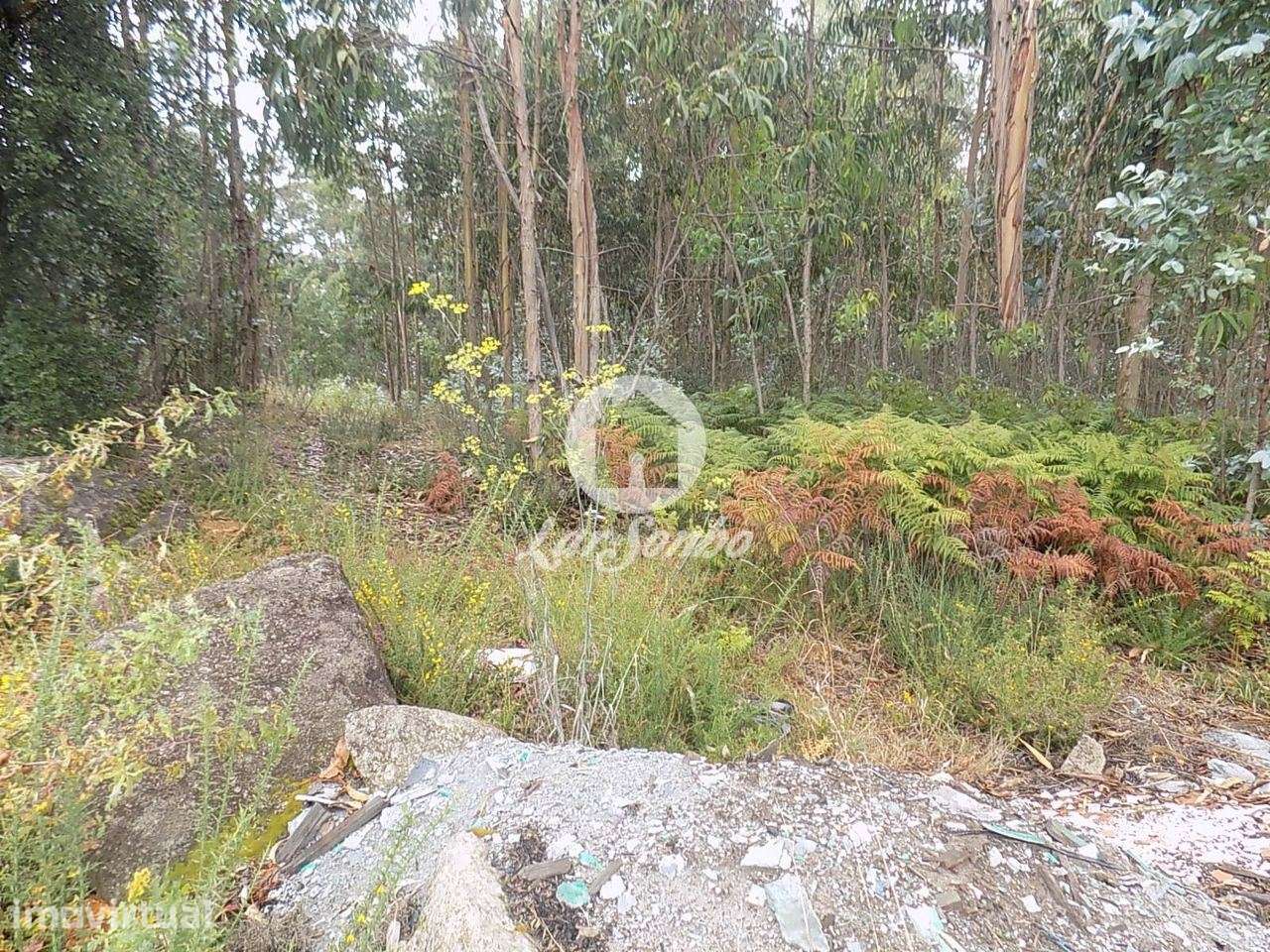 Lote industrial + lote comercial c/ 4.643 m2 perto do nó da A3, Vil... - Grande imagem: 4/5