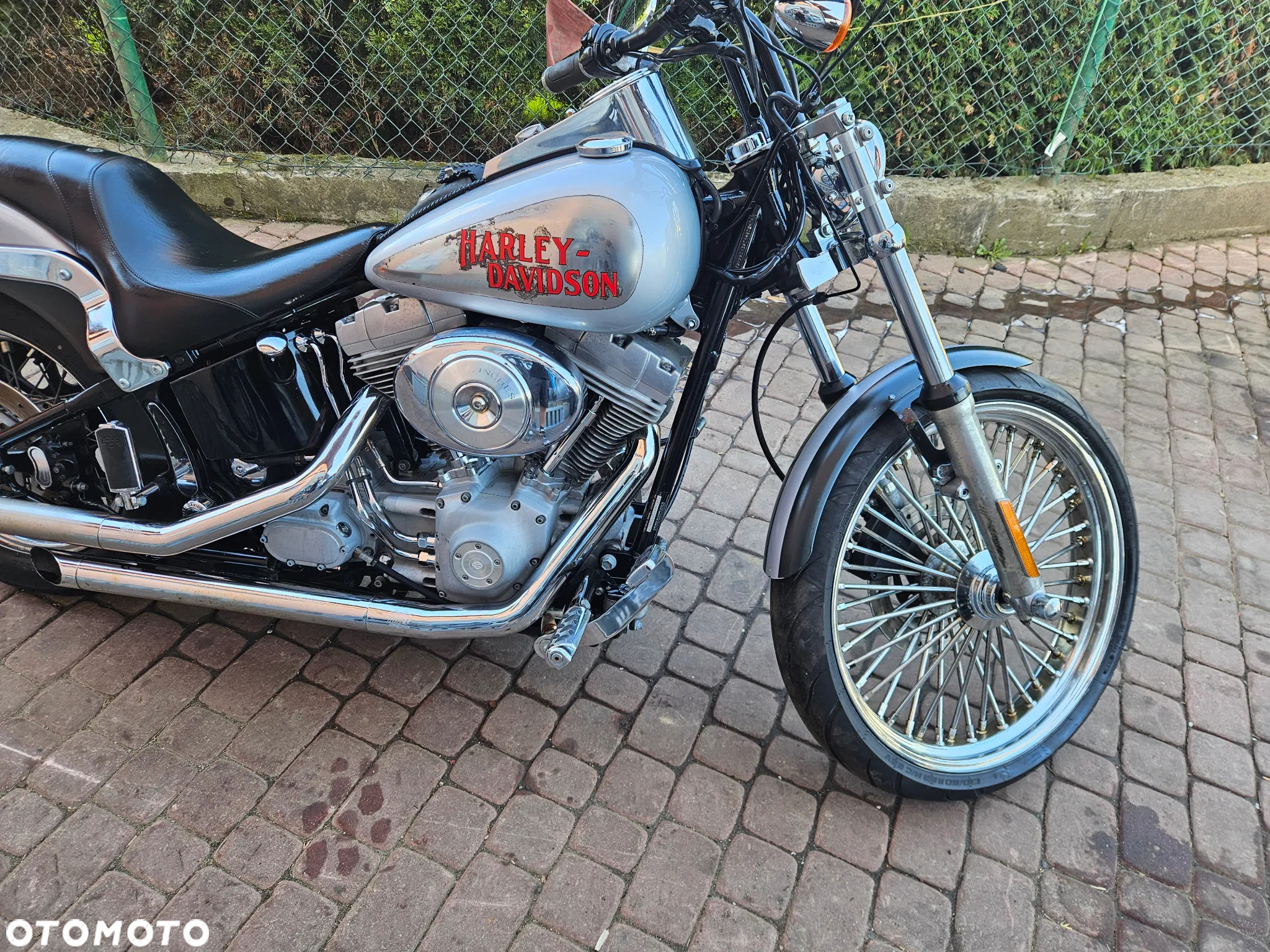 Harley-Davidson Softail - 3