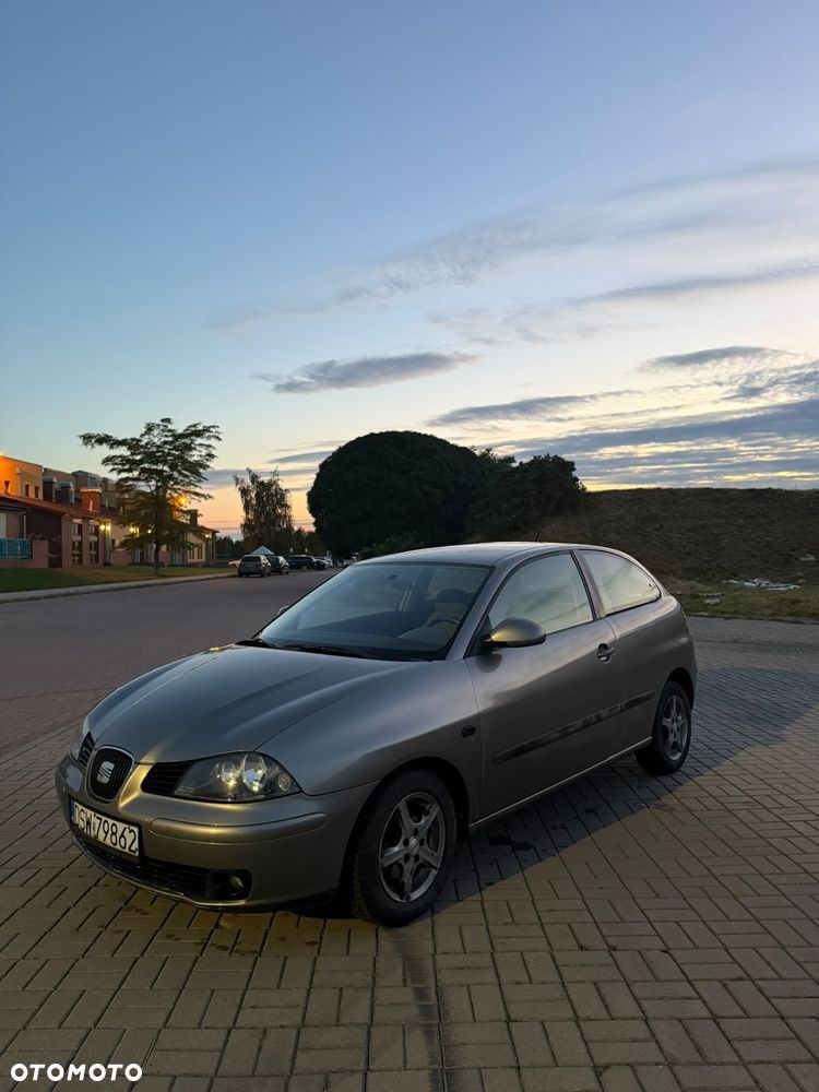 Seat Ibiza - 1