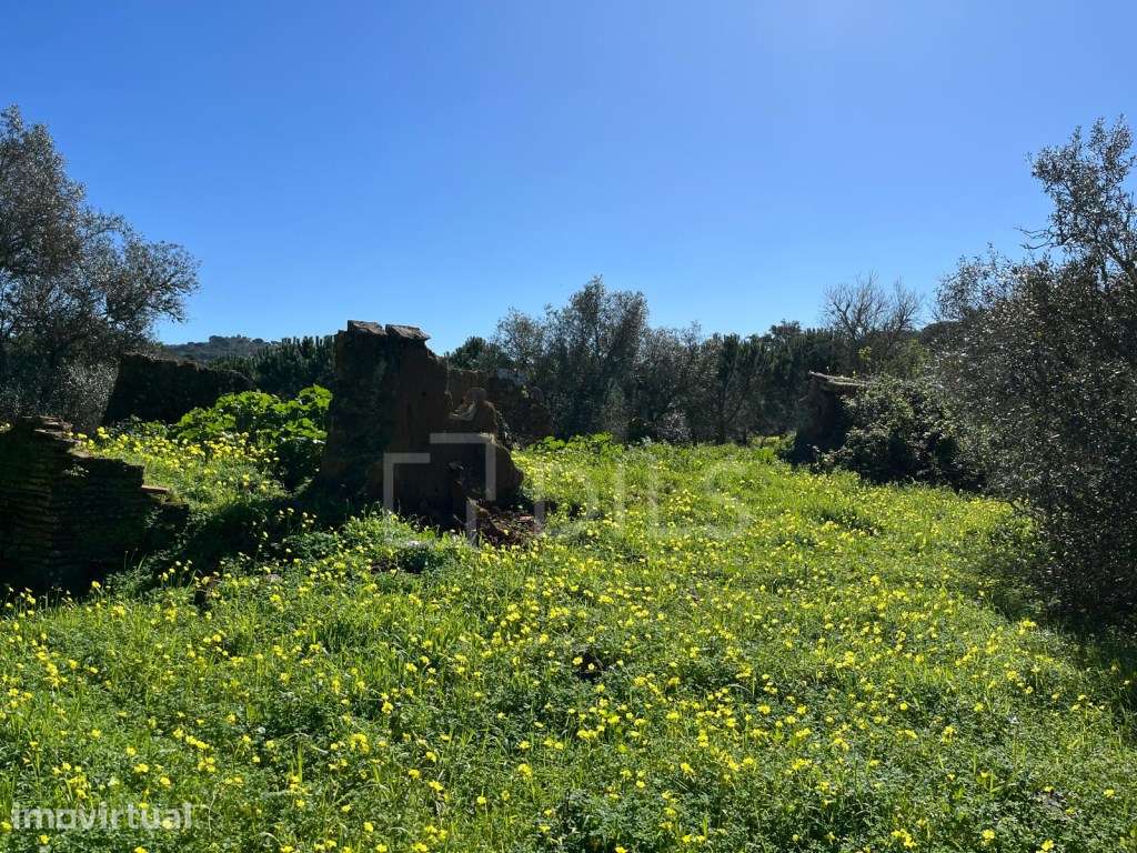 Terreno com PIP, Sobreiras Altas, Melides - Grande imagem: 5/29