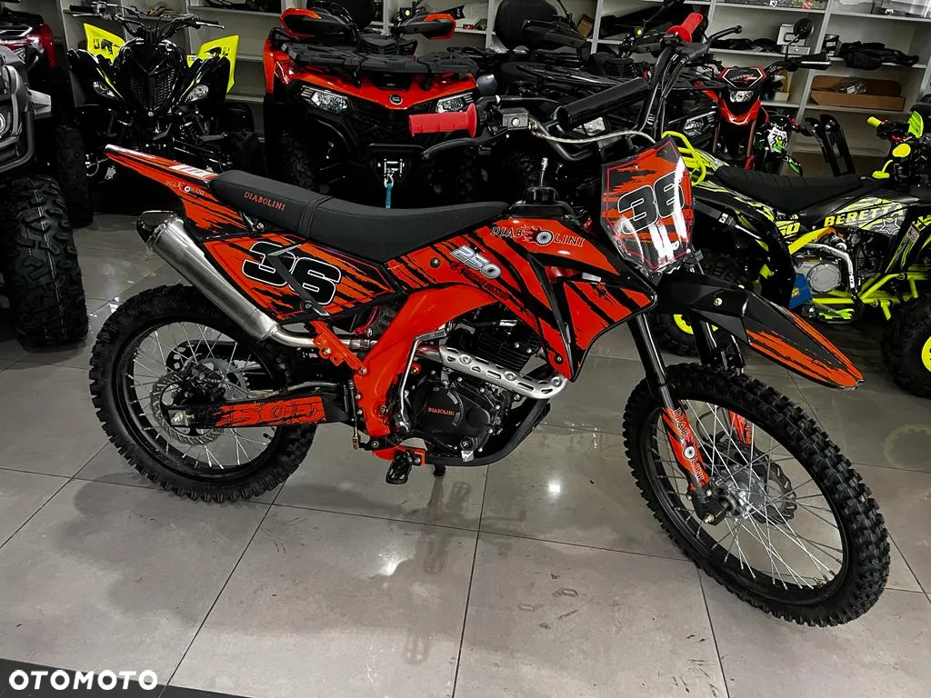 Diabolini Inny - 22