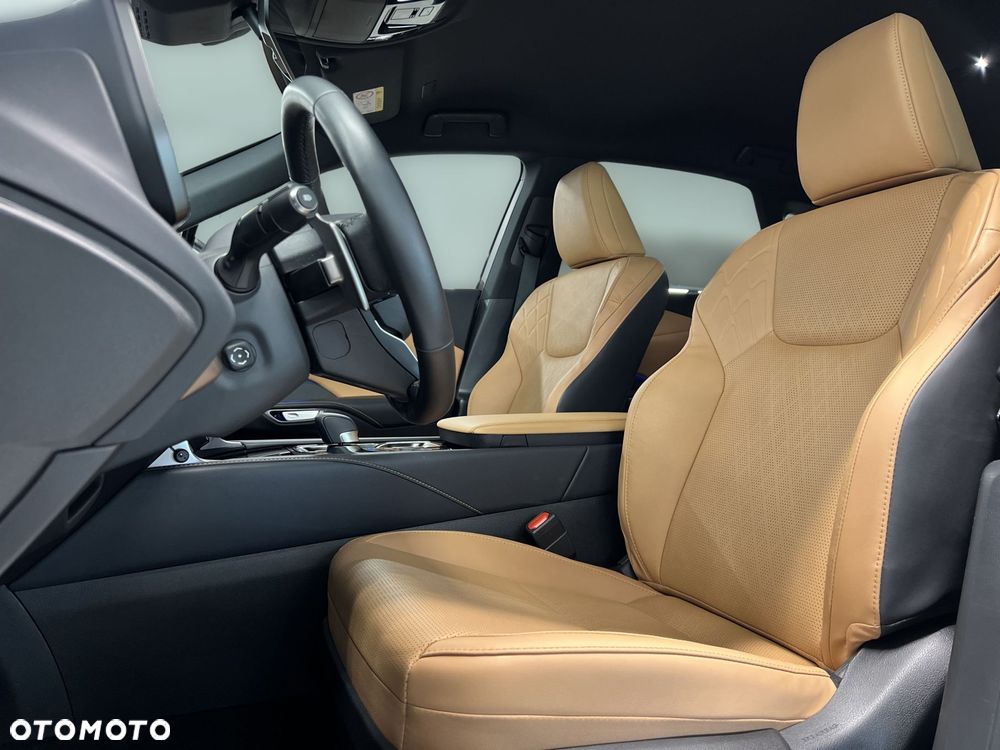 Lexus RX 450h+ Prestige - 19