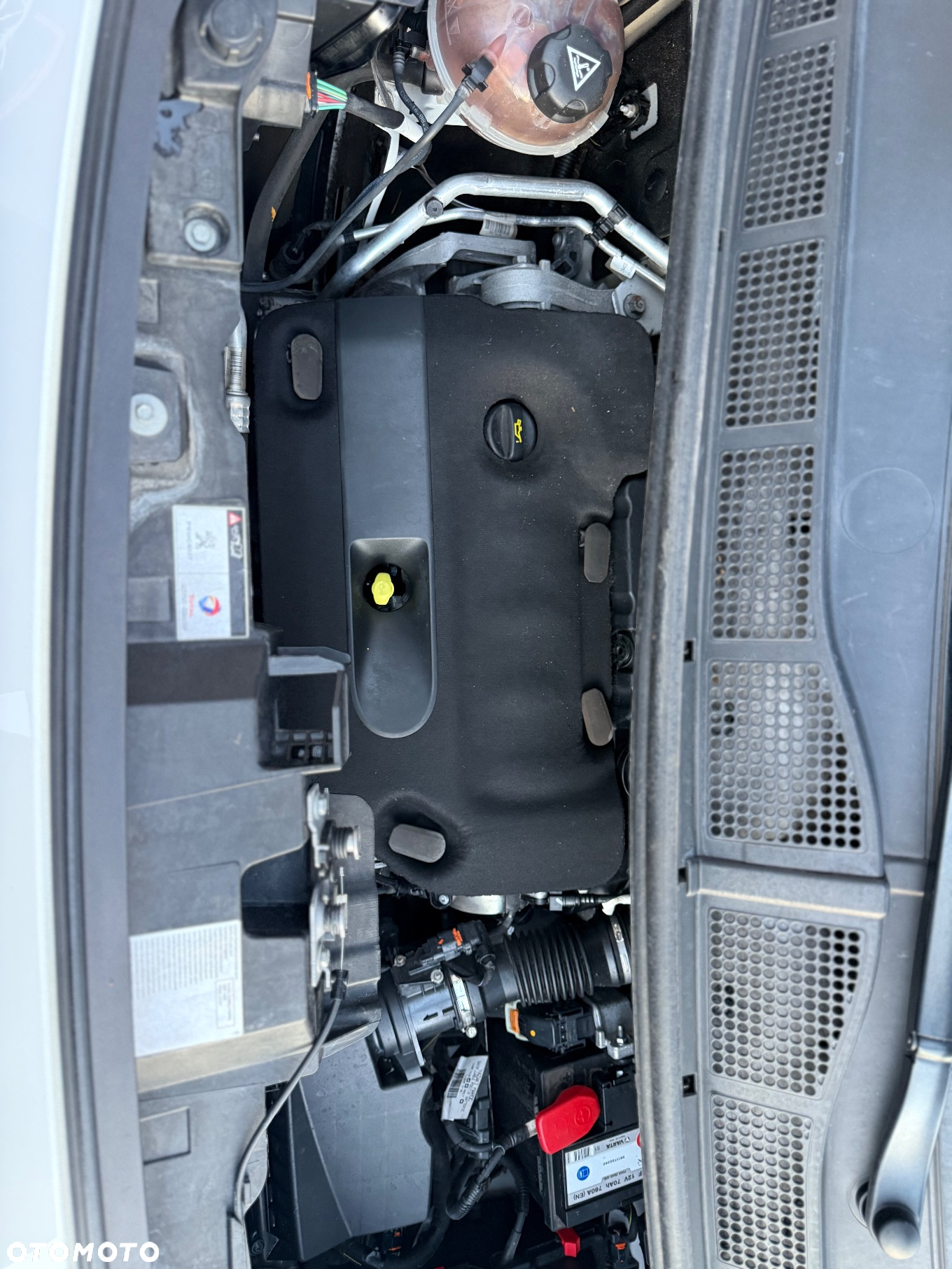 Peugeot EXPERT - 32