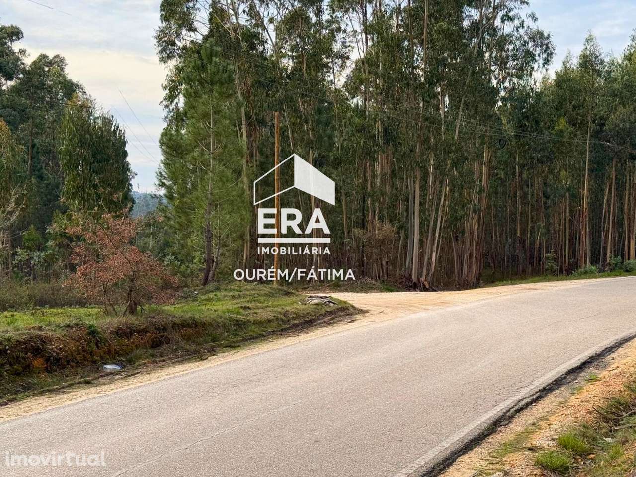 Terreno junto da zona industrial Caxarias - Grande imagem: 2/17