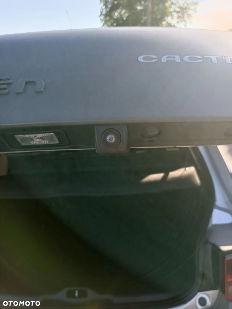 Citroën C4 Cactus - 10