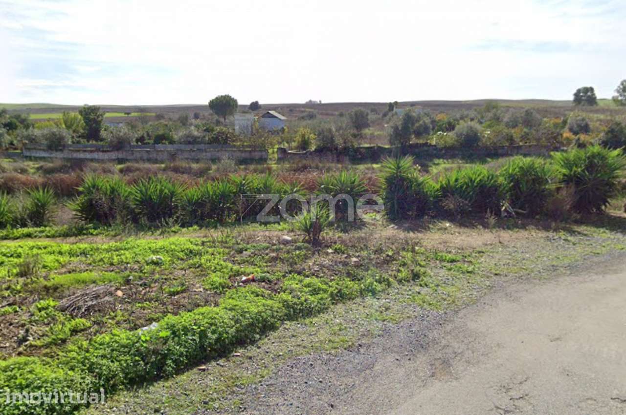 Terreno rustico com pomar - Grande imagem: 5/12