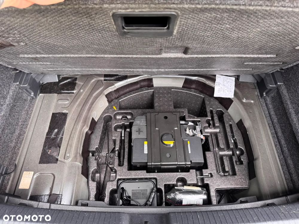 Volkswagen Polo 2.0 TSI DSG GTI - 21