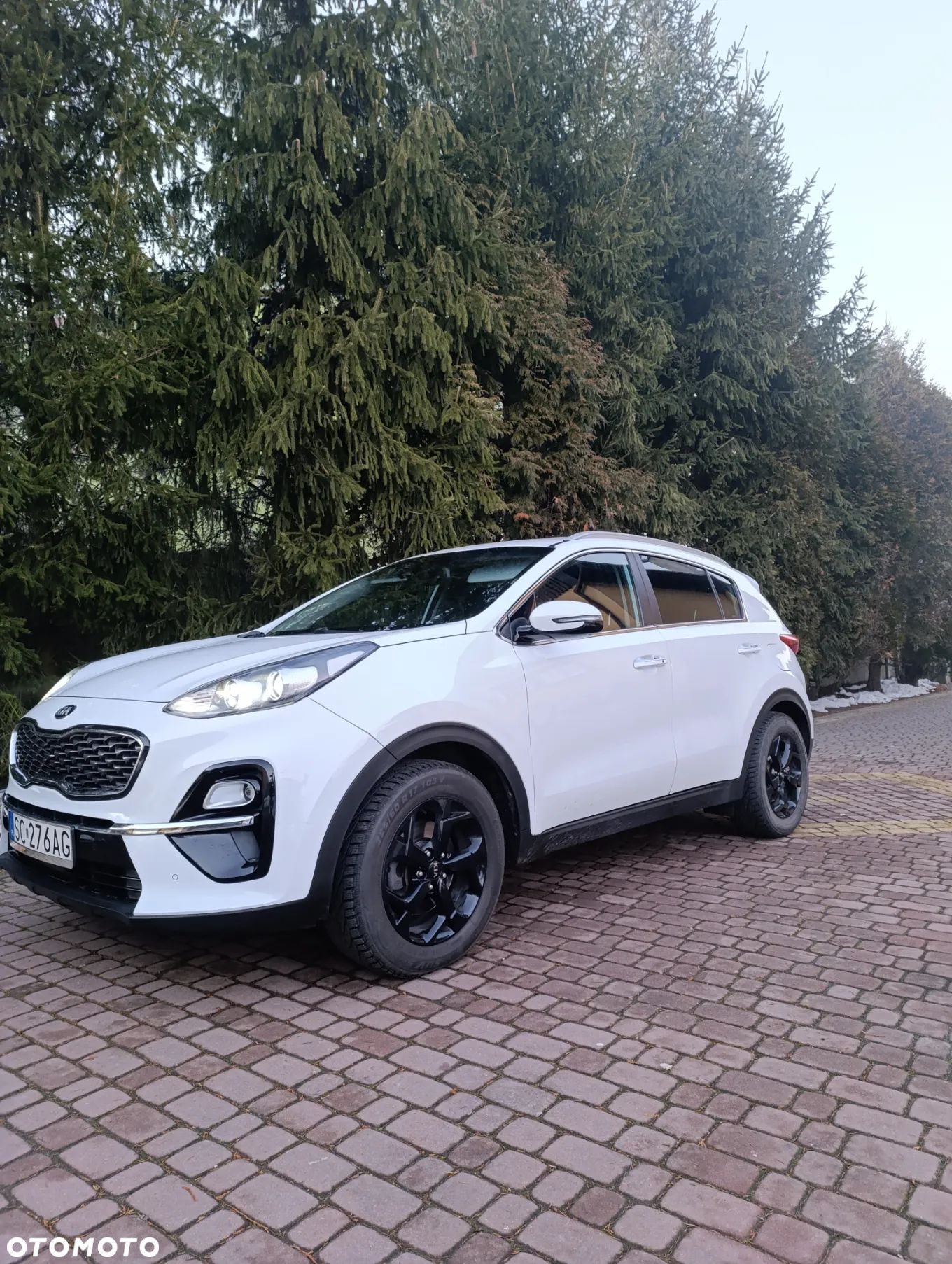 Kia Sportage 1.6 CRDI 2WD Eco-Dynamics+ (48V M-H) DCT Vision - 1