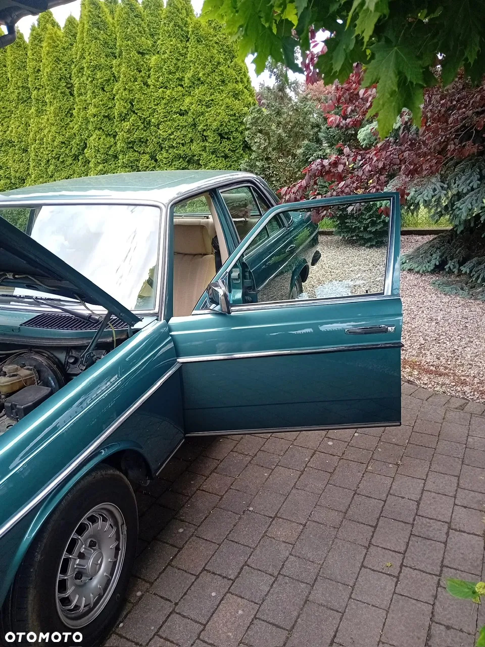 Mercedes-Benz W123 - 6