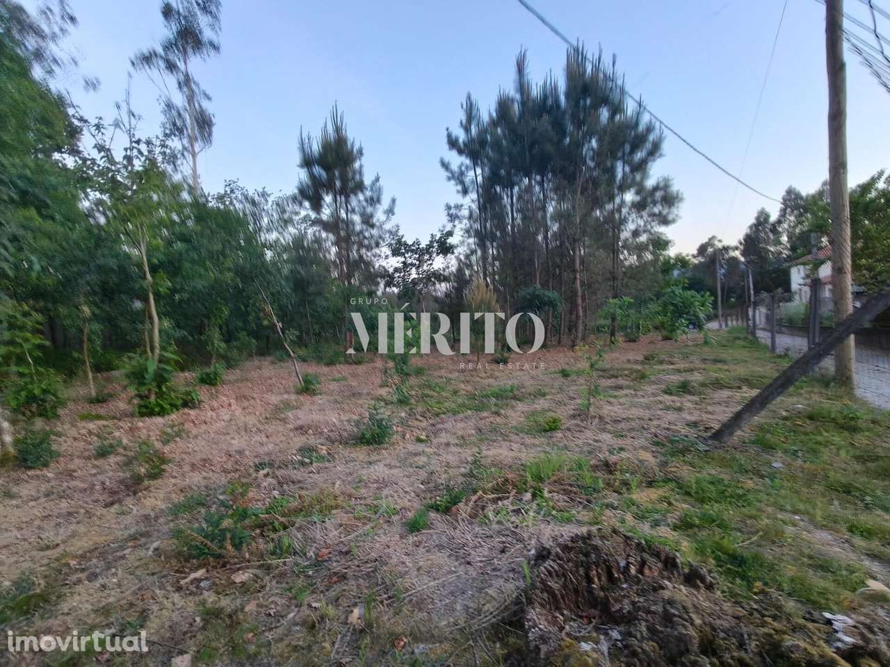 Terreno em Cossourado próximo do Rio Neiva e da Estrada Nacional 204 - Grande imagem: 5/17
