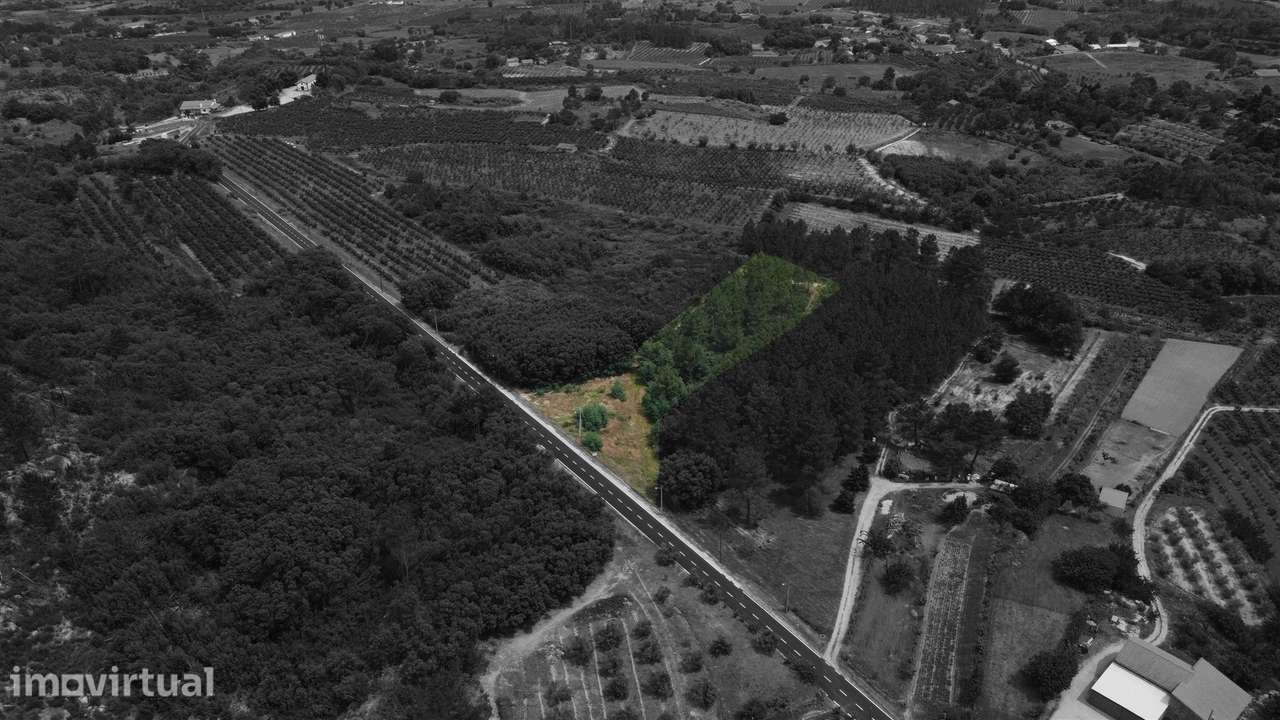 Terreno Rústico c/ 5.629 m² em Aldeia do Souto – Covilhã - Grande imagem: 3/10