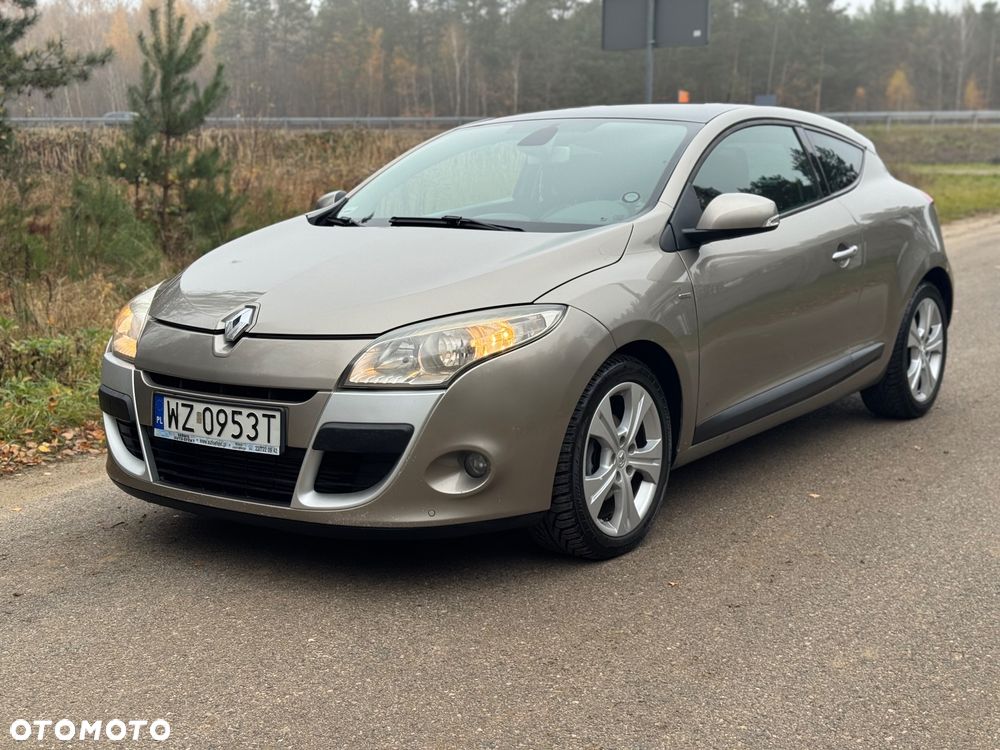 Renault Megane 1.9 dCi Dynamique Euro5 - 14