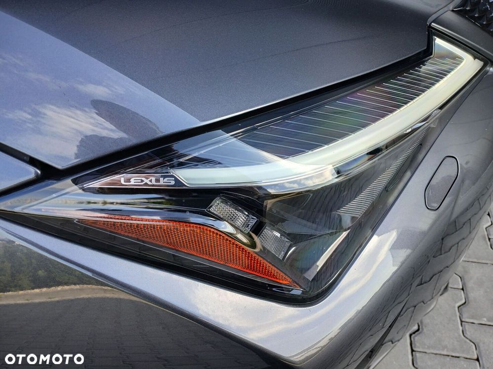 Lexus UX 300h F Sport Design AWD - 32