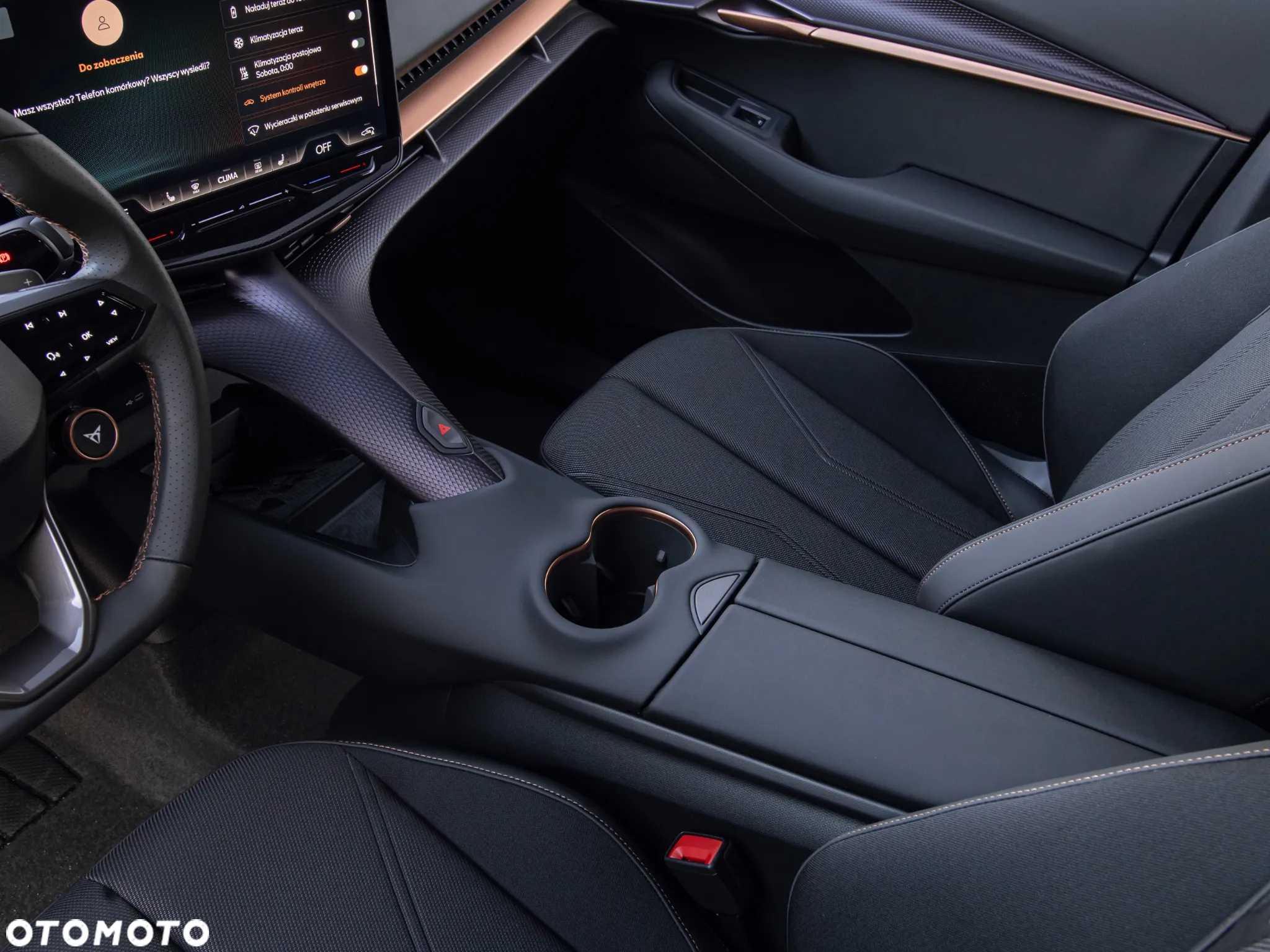 Cupra Tavascan - 17