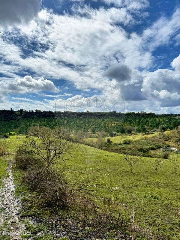 Terreno  para venda - Grande imagem: 5/14