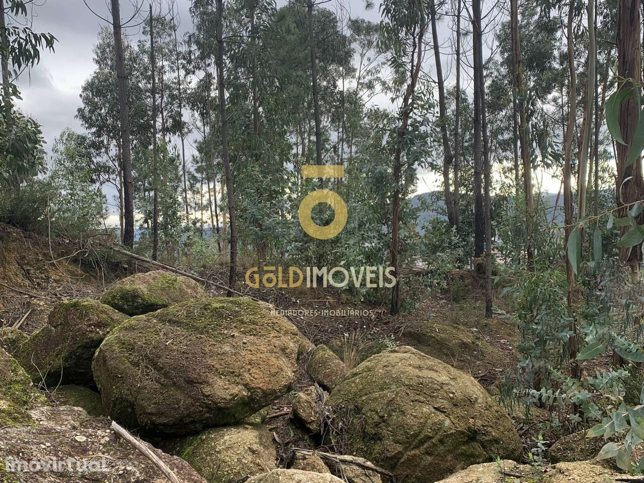 Lote Industrial  Venda em Sobrado e Bairros,Castelo de Paiva - Grande imagem: 2/5