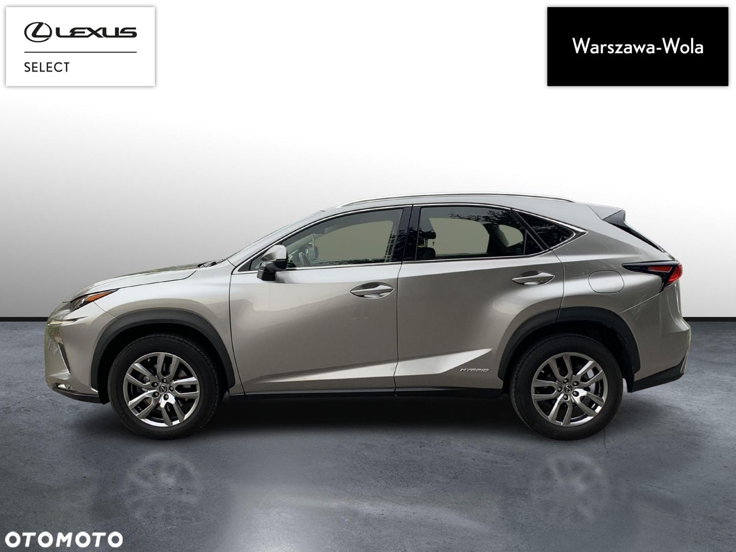 Lexus NX 300h Business Edition AWD - 4