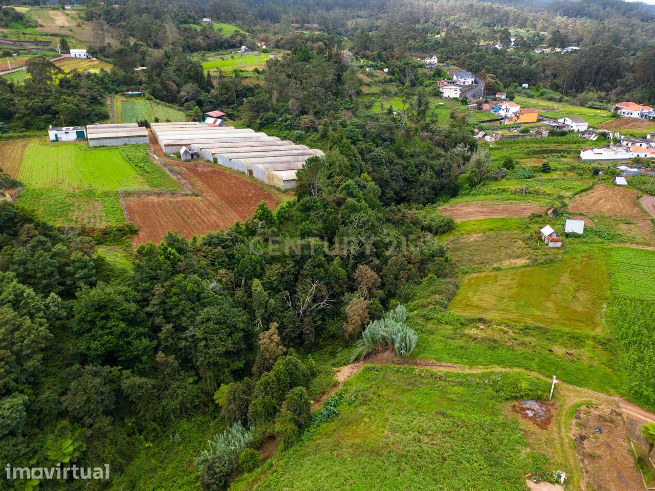 Terreno Rustico- Ideal para Projeto de Investimento - Grande imagem: 5/15