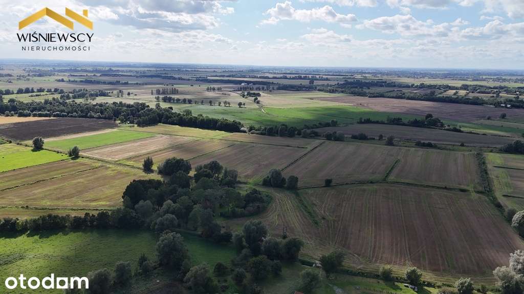 Grunty rolne 43,53 ha – okolice Zalewu Wiślanego - Pełny obrazek: 5/5