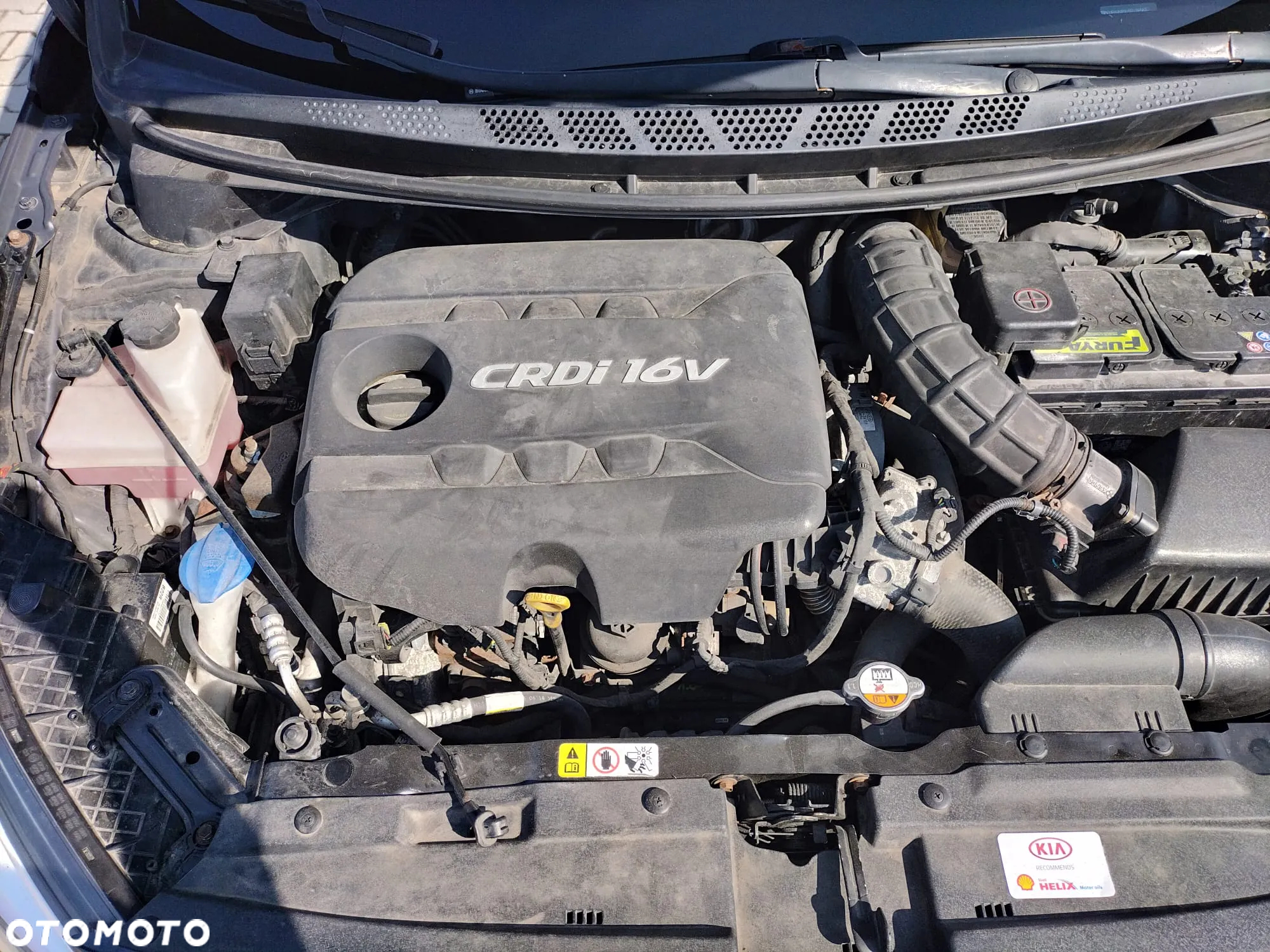 Kia Ceed 1.6 CRDi 128 Fifa World Cup Edition - 13
