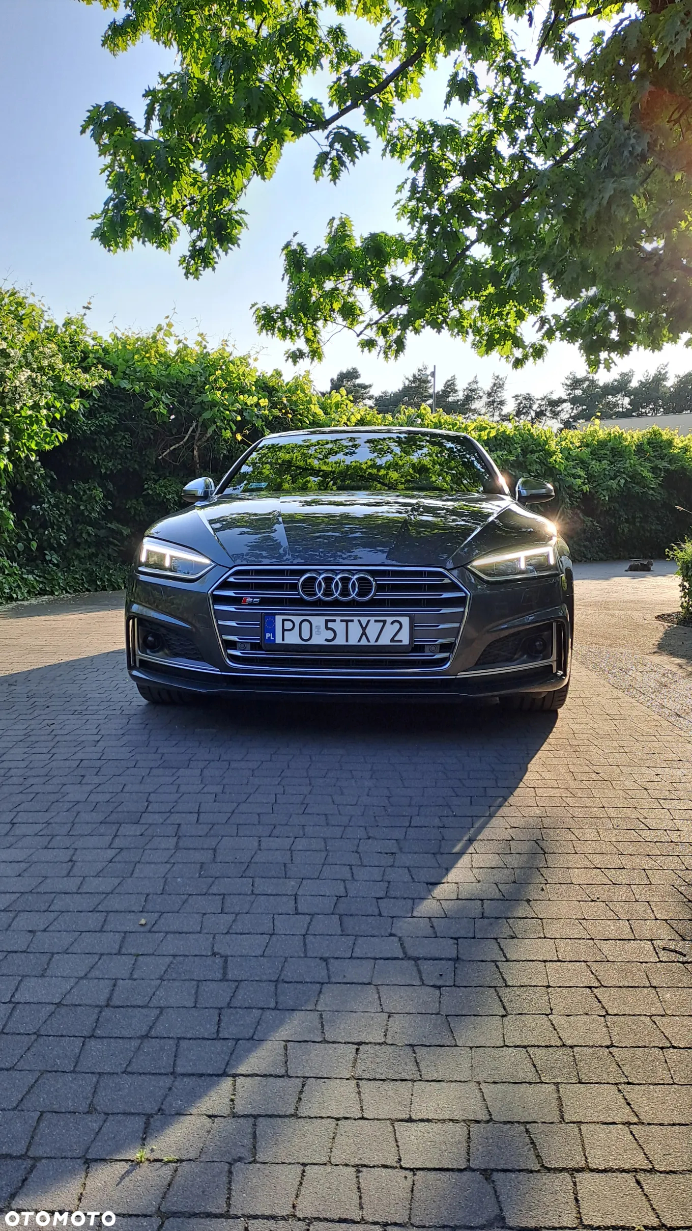 Audi S5 3.0 TFSI Quattro Tiptronic - 2