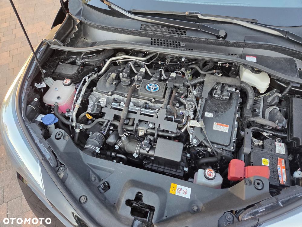 Toyota C-HR - 19