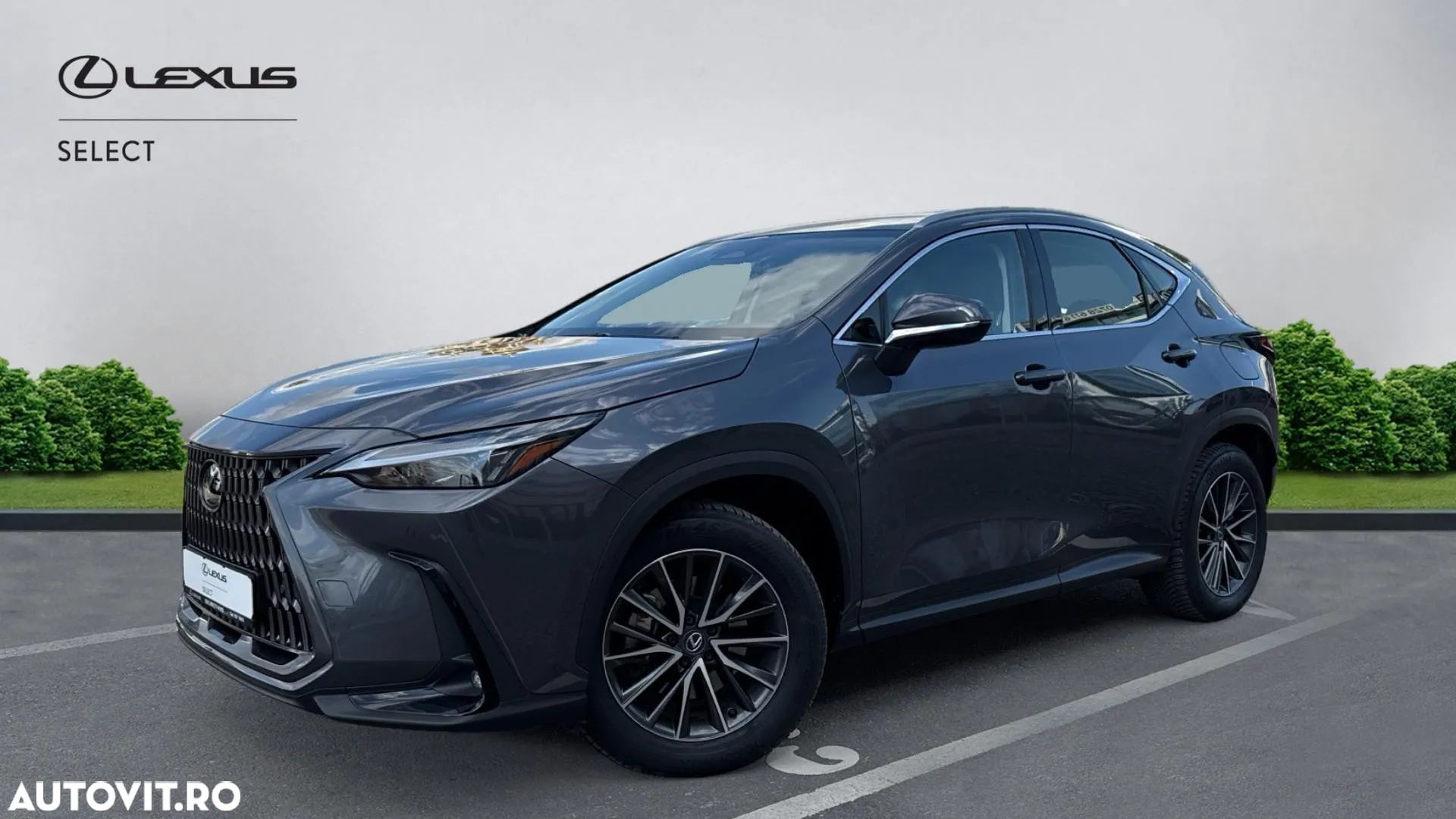 Lexus Seria NX 350h AWD CVT HEV Business - 1