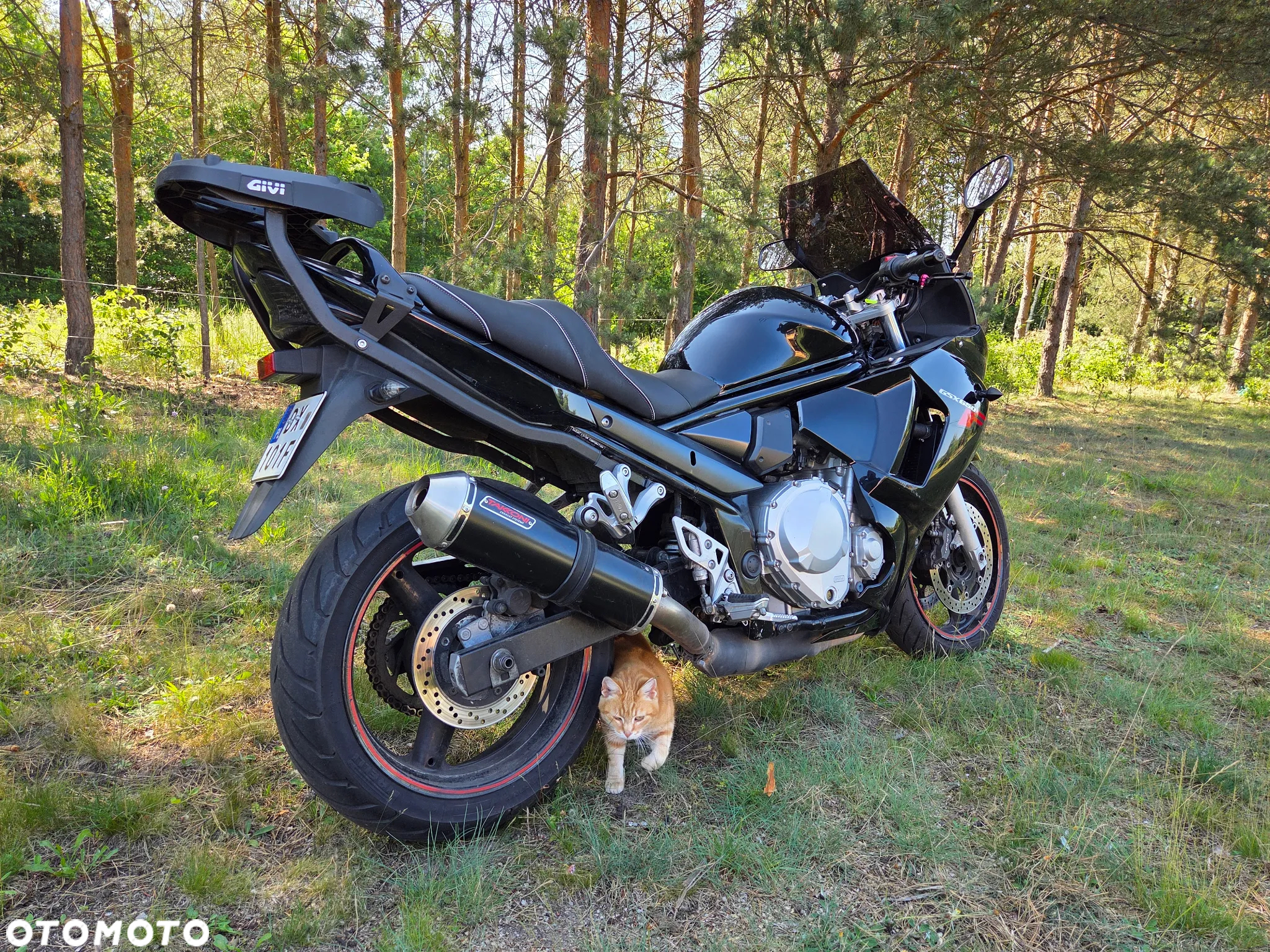 Suzuki GSX-F - Katana - 9