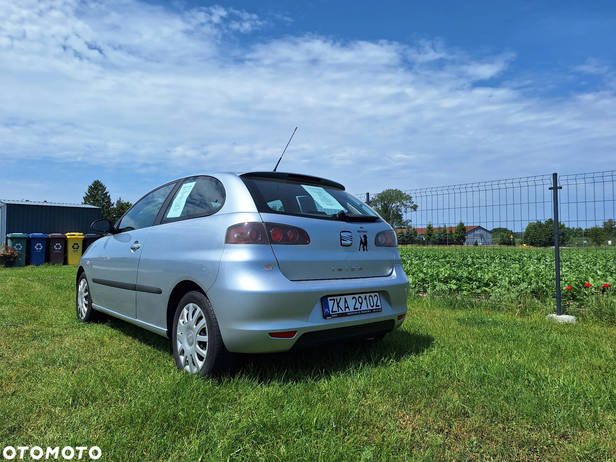 Seat Ibiza - 5