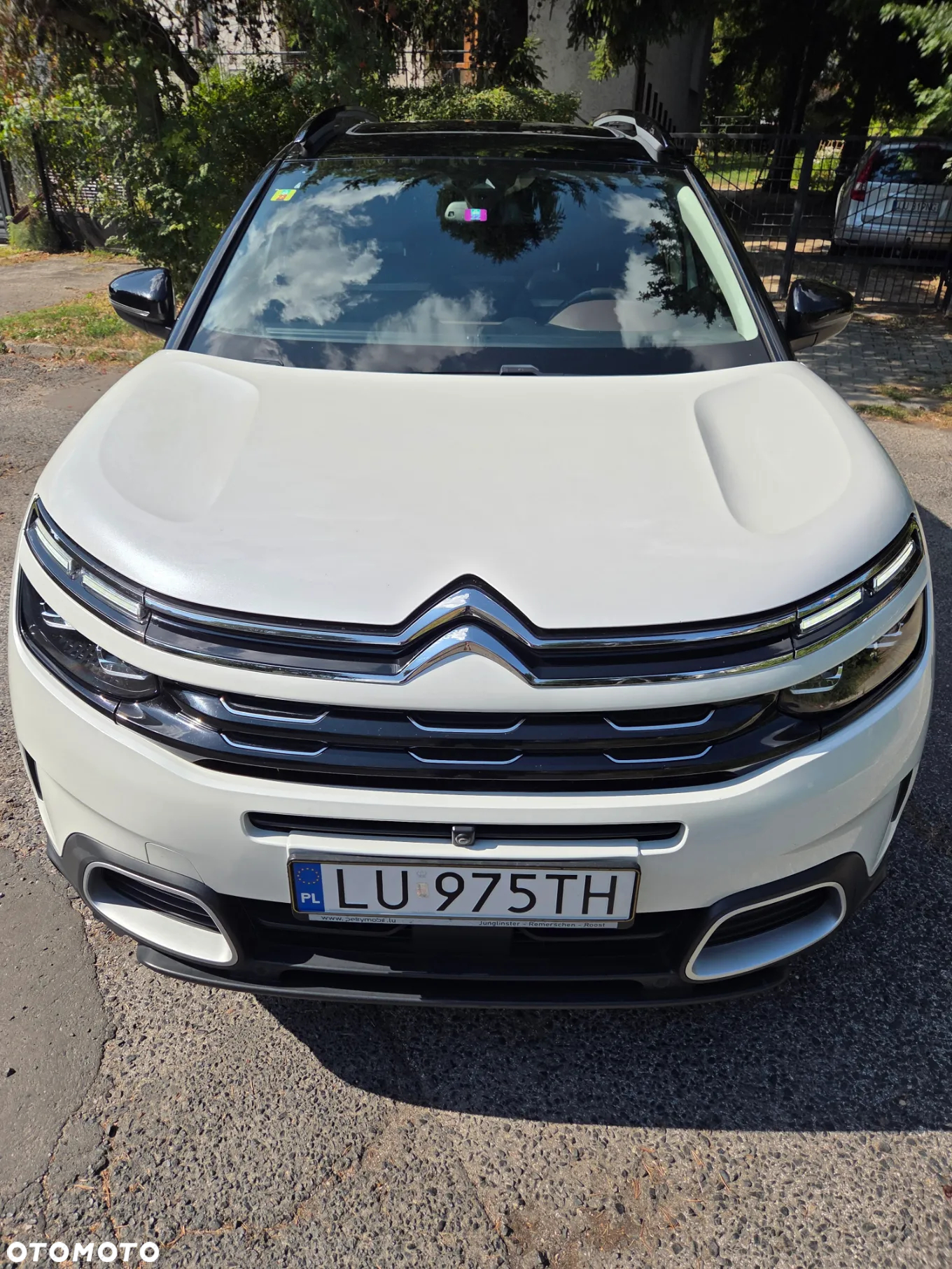 Citroën C5 Aircross BlueHDI 180 S&S EAT8 SHINE PACK - 3