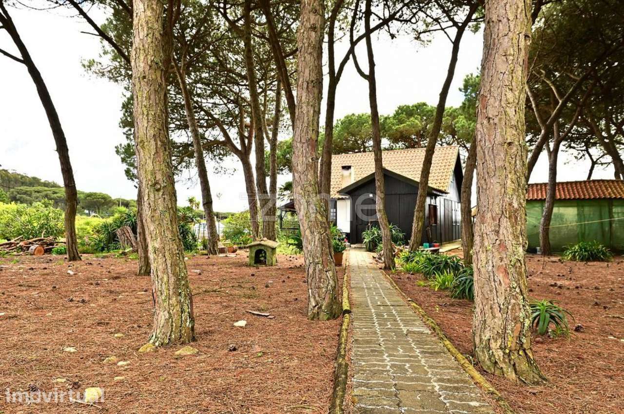 Quinta com 7.000 m2 e moradia em madeira em S. João das Lampas - Grande imagem: 3/27