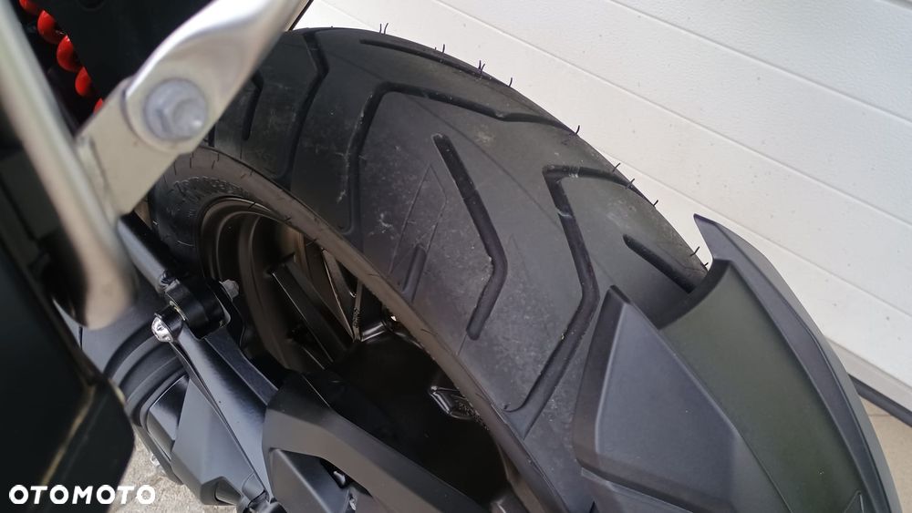 Triumph Tiger - 21