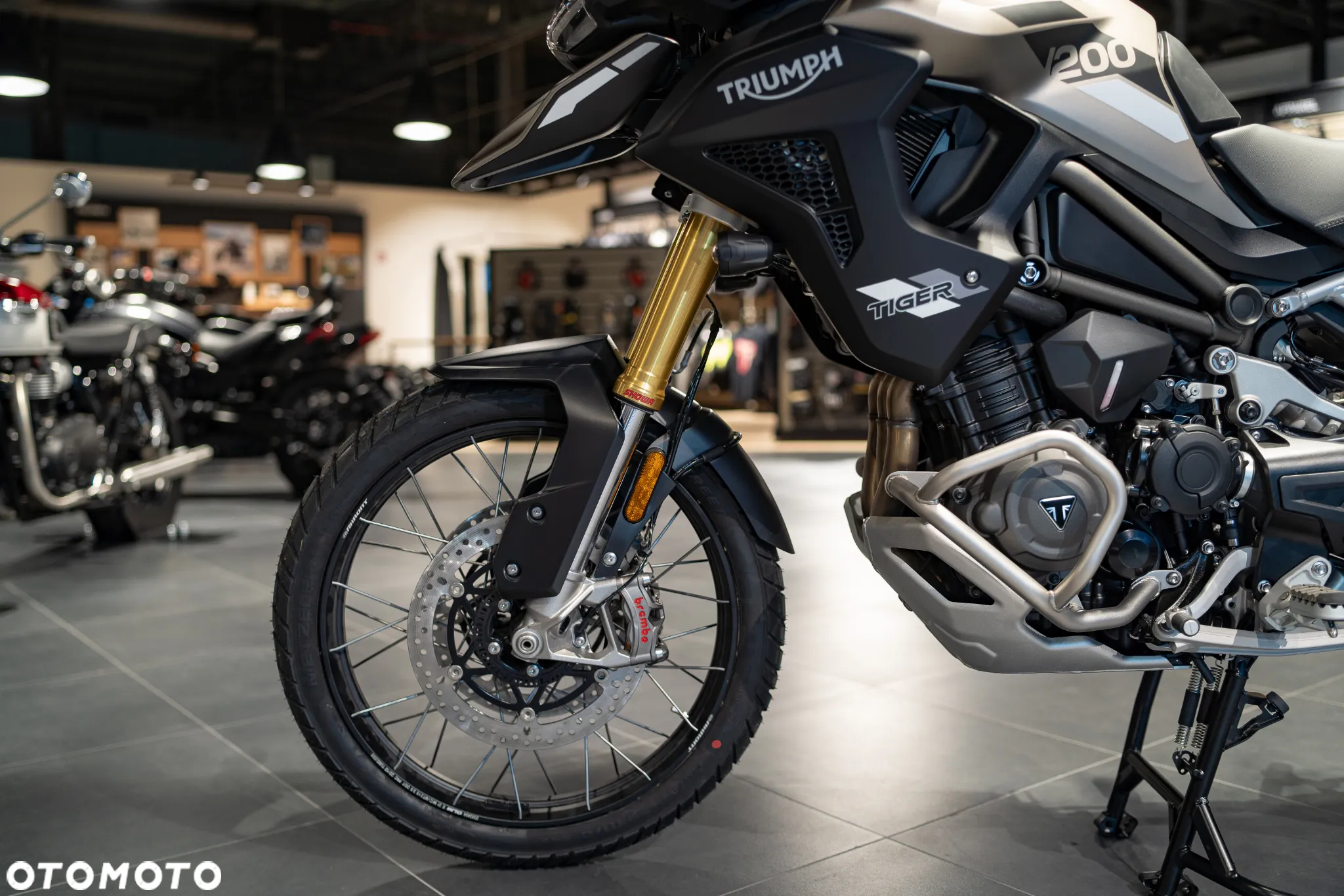 Triumph Tiger - 13