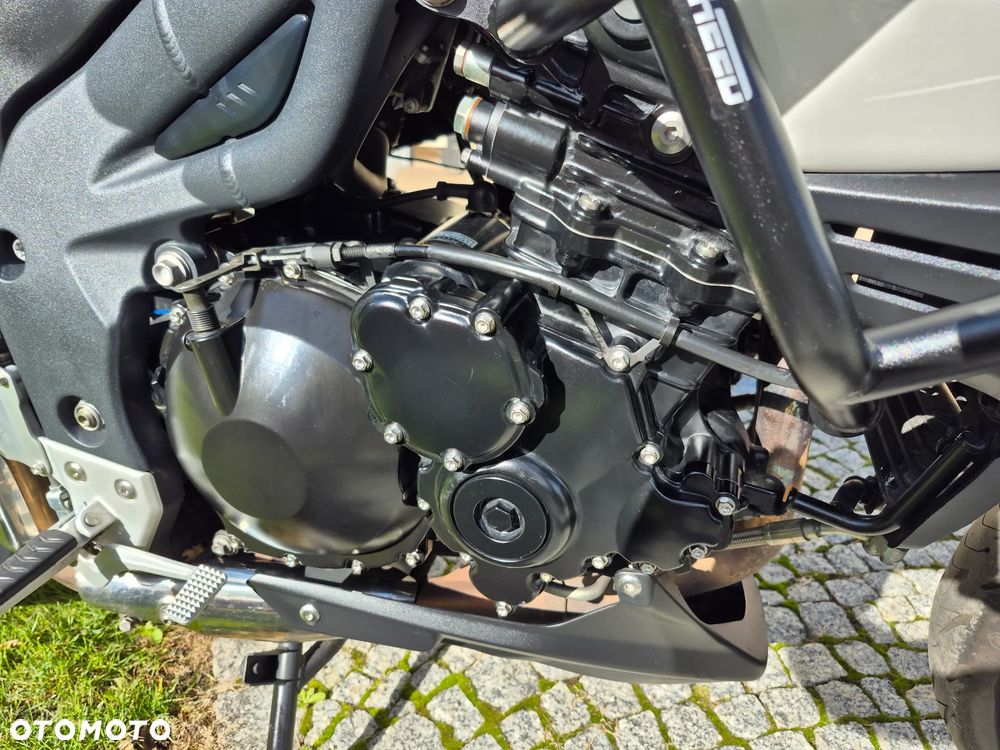 Triumph Tiger - 18