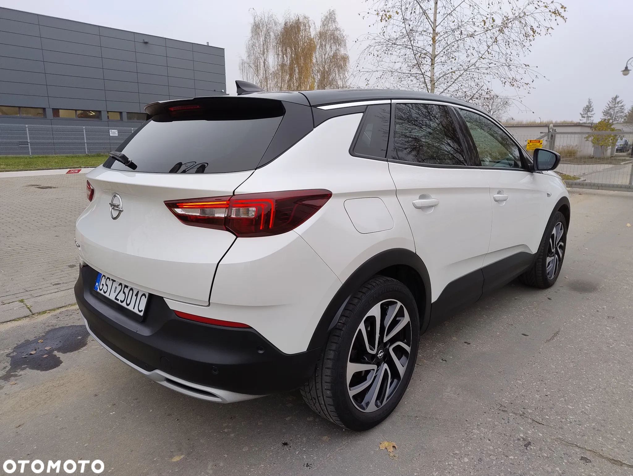 Opel Grandland X 1.6 CDTI Ultimate S&S - 9