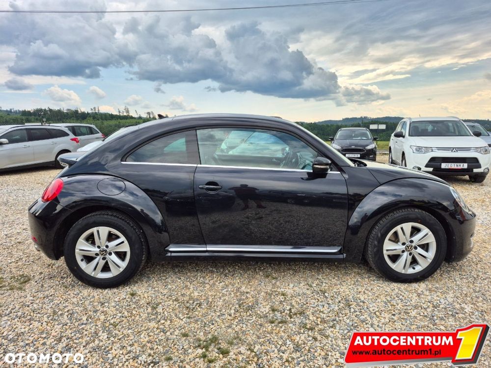 Volkswagen Beetle - 12