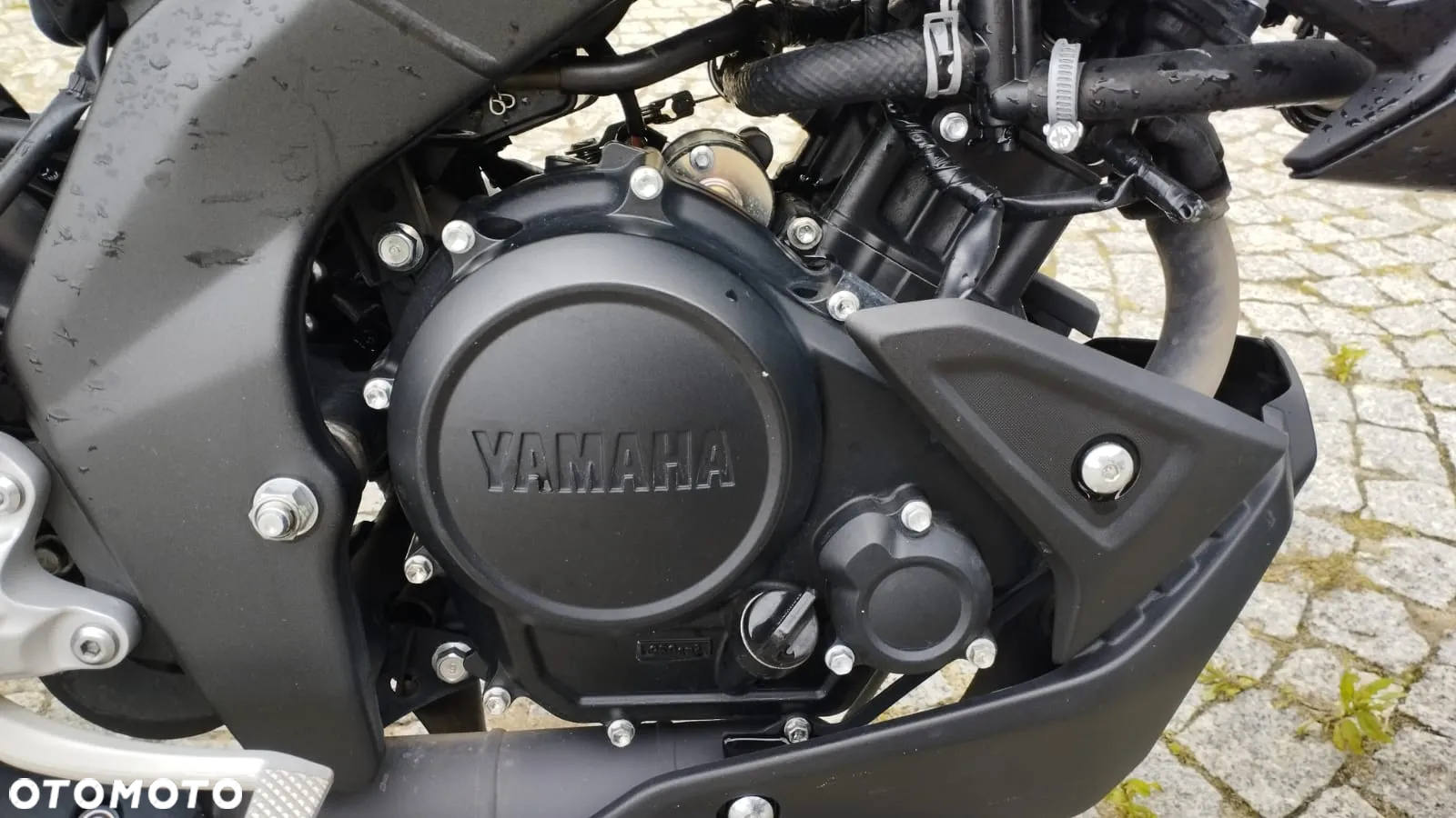 Yamaha MT - 14
