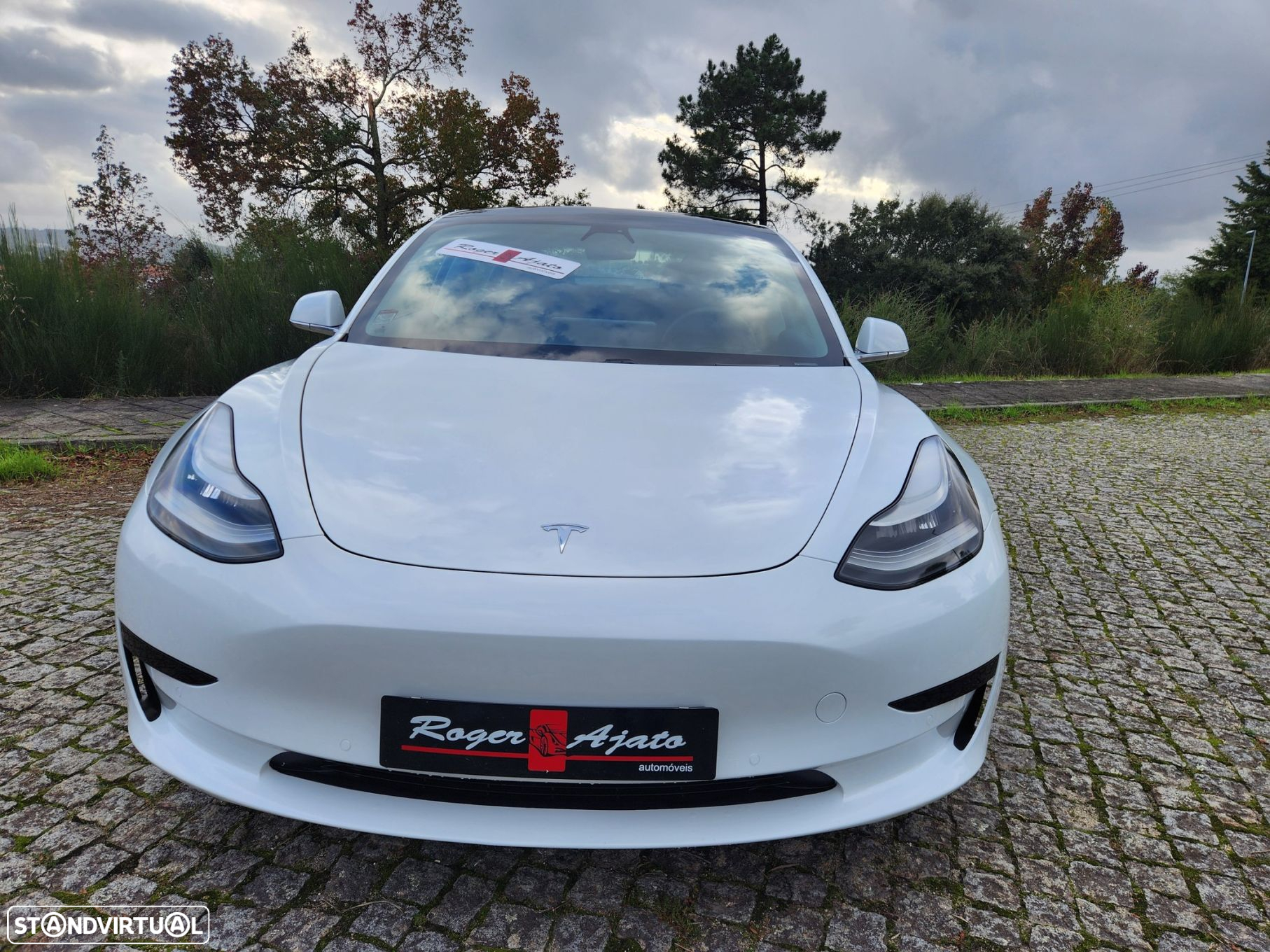 Tesla Model 3 Standard RWD Plus - 60