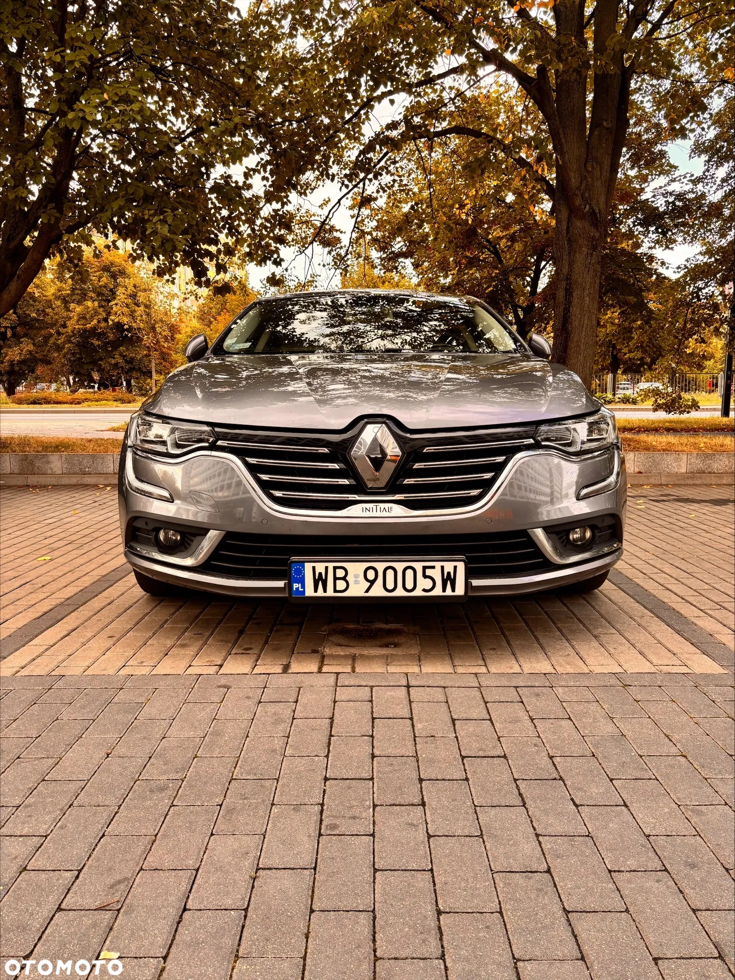 Renault Talisman 1.6 Energy dCi Initiale Paris EDC - 5
