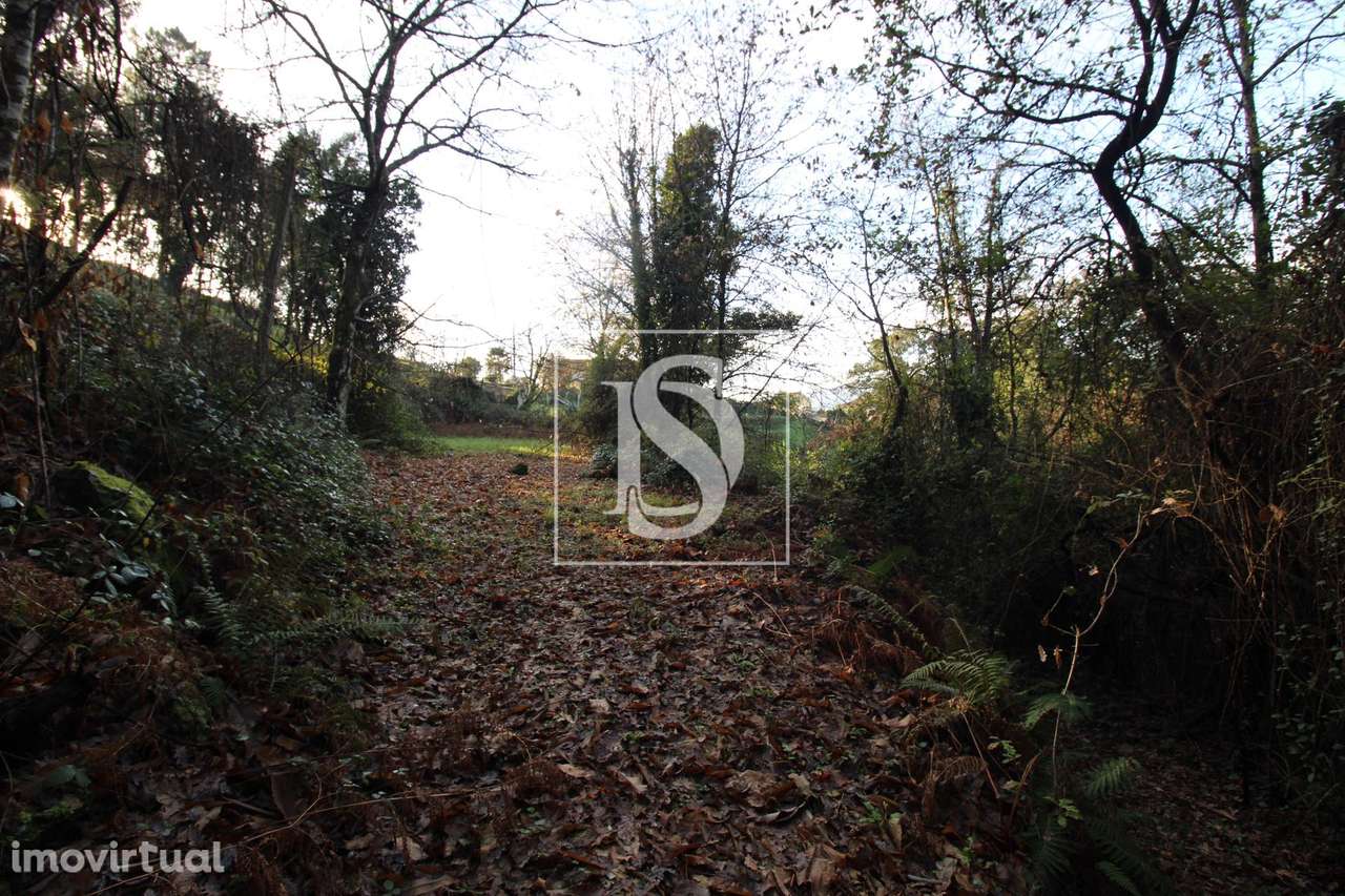 Terreno  Venda em Rebordelo,Amarante - Grande imagem: 2/4