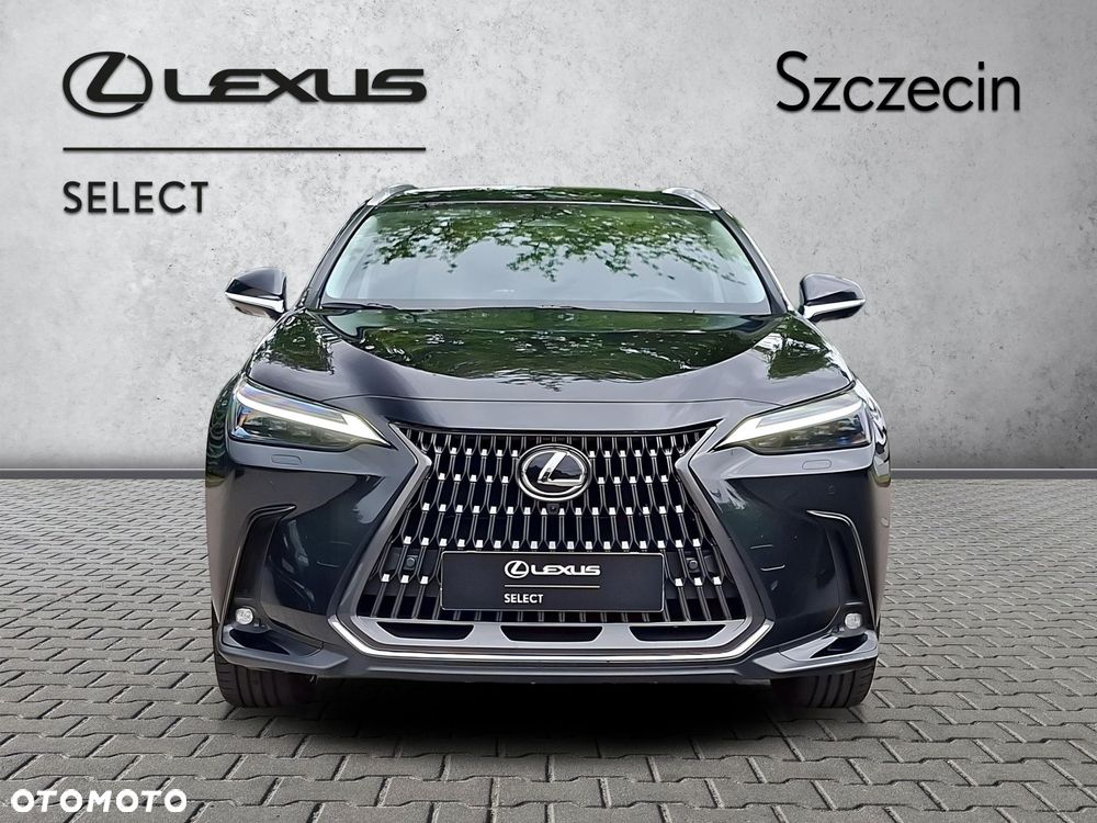 Lexus NX - 8