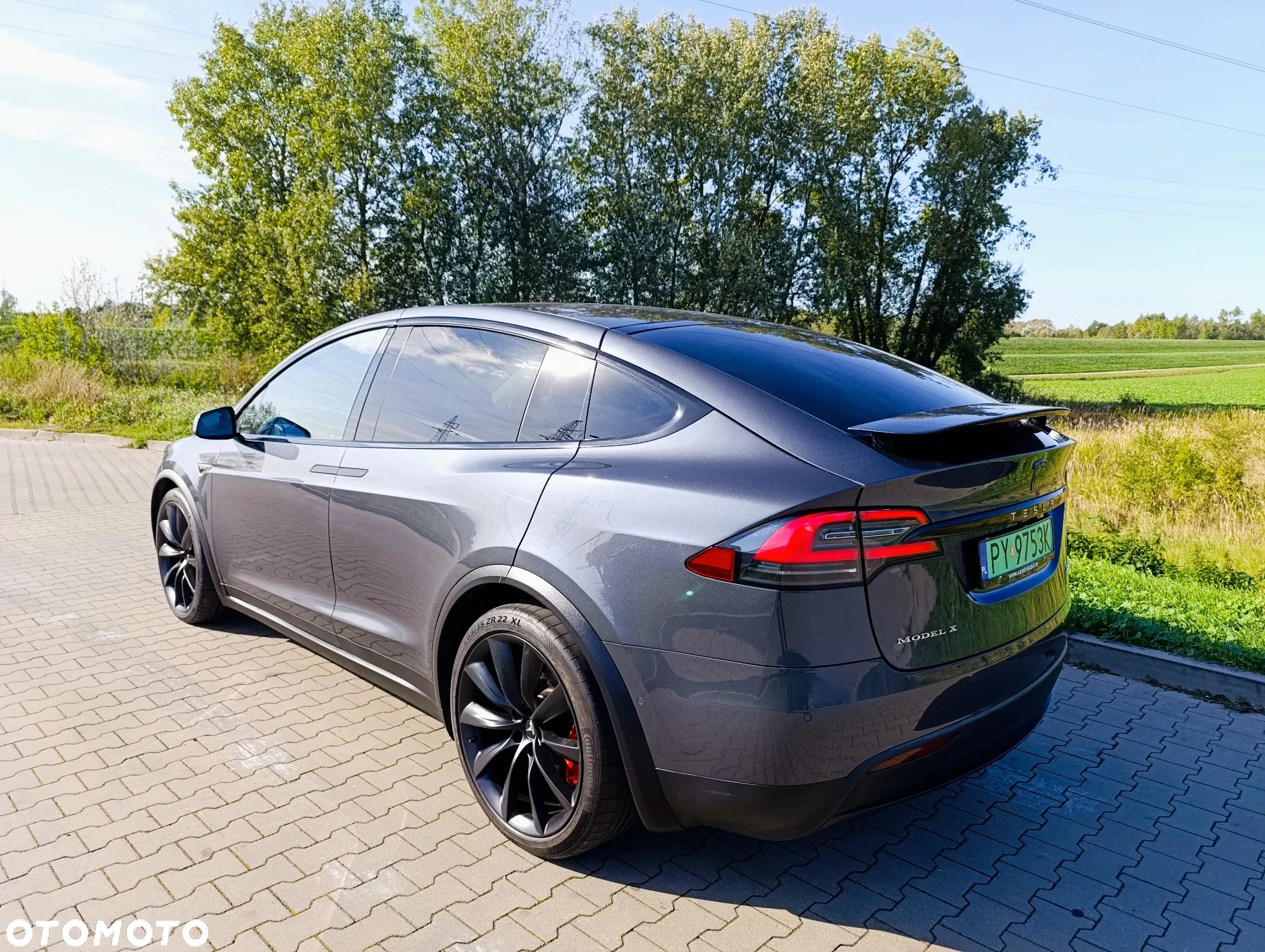Tesla Model X Performance - 12
